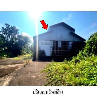 ขายโรงงาน : Z8Z7001 ขายโกดัง ตำบล ปงแสนทอง อำเภอ เมืองลำปาง จังหวัด ลำปาง