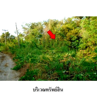 Land for sale Bang Sai Phra Nakhon Sri Ayutthaya : FOR SALE  LAND PROPERTY  4053000 BAHT.