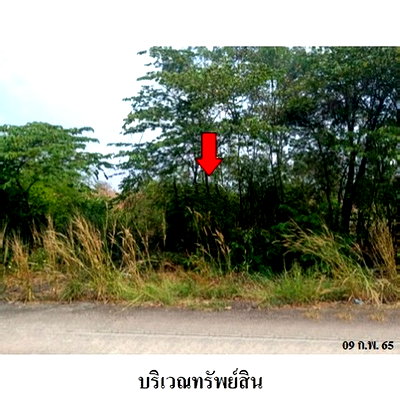 Land for sale Bang Sai Phra Nakhon Sri Ayutthaya : FOR SALE  LAND PROPERTY  1312000 BAHT.