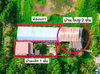 listing thumbnail image 12