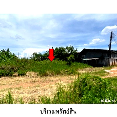Land for sale Chiang Mai : FOR SALE  LAND PROPERTY  735000 BAHT.