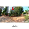 listing thumbnail image 7
