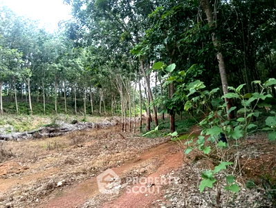 Land for sale Chonburi : Land For Sale 46.9 Sqm Bo Thong, Chon Buri (ID 3028033)
