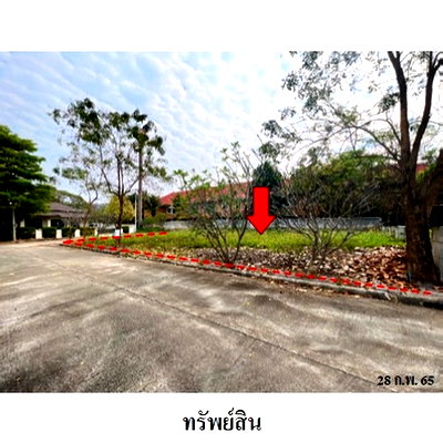 Land for sale Chiang Mai : FOR SALE  LAND PROPERTY  1310000 BAHT.