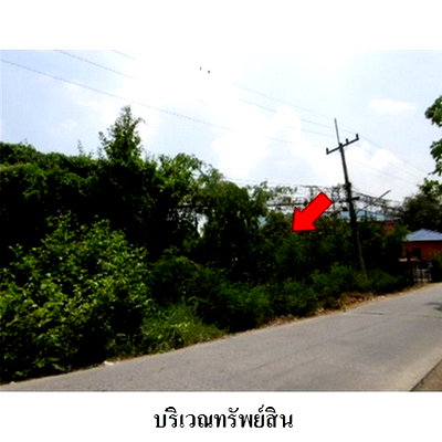 ที่ดิน แฟคตอรี่แลนด์ : Z2T0351 ขายที่ดินเปล่า ตำบล ชะแมบ อำเภอ วังน้อย จังหวัด พระนครศรีอยุธยา