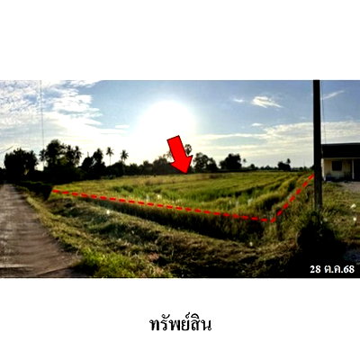ที่ดิน โกลบอล เฮ้าส์ พิษณุโลก : ZLL0114 ขายที่ดินเปล่า ตำบล ท่าทอง อำเภอ เมืองพิษณุโลก จังหวัด พิษณุโลก