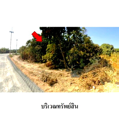 Land for sale Chiang Mai : FOR SALE  LAND PROPERTY  7034000 BAHT.