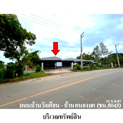 ขายโรงงาน : Z3A1335 ขายโกดัง ตำบล นางลือ อำเภอ เมืองชัยนาท จังหวัด ชัยนาท