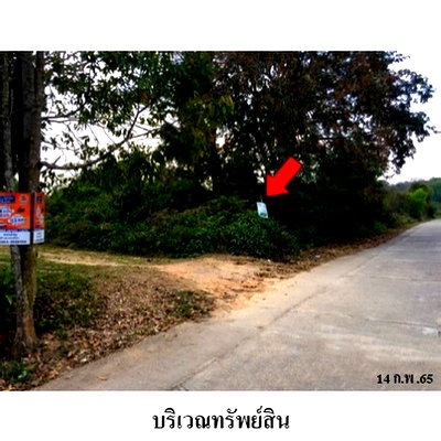 Land for sale Chiang Mai : FOR SALE  LAND PROPERTY  5416000 BAHT.