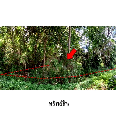 Land for sale Chiang Mai : FOR SALE  LAND PROPERTY  1076000 BAHT.
