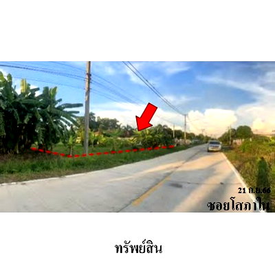 ที่ดิน ม.นเรศวร : ZLL0113 ขายที่ดินเปล่า ตำบล ท่าโพธิ์ อำเภอ เมืองพิษณุโลก จังหวัด พิษณุโลก