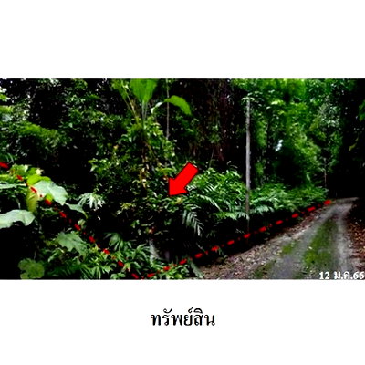Land for sale Kao Kichakut Chanthaburi : FOR SALE  LAND PROPERTY  747000 BAHT.