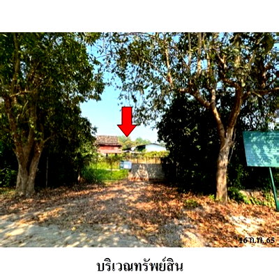 ขายโรงงาน : Z3A1185 ขายโกดัง ตำบล มะขามหลวง อำเภอ สันป่าตอง จังหวัด เชียงใหม่