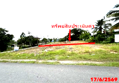 ขายที่ดิน : ที่ดินว่างเปล่า 286 ตร.วา ป่าพะยอม พัทลุง 7.4M
