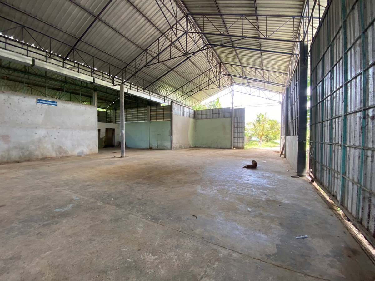 รูป 🏭 โกดัง 2 หลัง พร้อมบ้านพักอาศัย บนที่ดินโฉนดครบถ้วน — เมืองชุมพร - รูปที่ 7/11