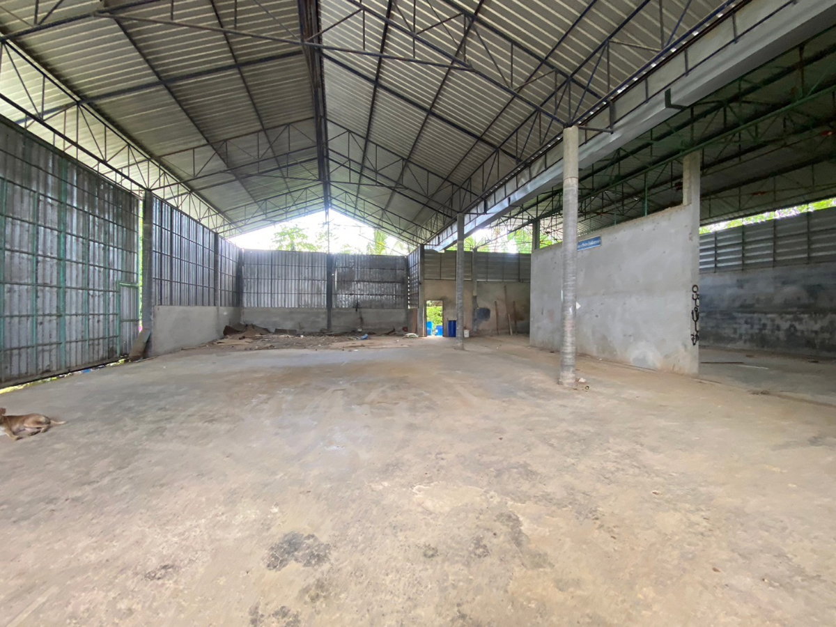 รูป 🏭 โกดัง 2 หลัง พร้อมบ้านพักอาศัย บนที่ดินโฉนดครบถ้วน — เมืองชุมพร - รูปที่ 8/11