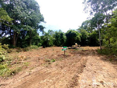 ขายที่ดิน : ที่ดินว่างเปล่า 663 ตร.วา คลองท่อม กระบี่ 2.9M