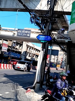 บ้านเดี่ยว วิทยาลัยเทคโนโลยีสยาม : บ้าน 4 ห้องนอน 200 ตร.ม. พร้อมอยู่และเลี้ยงสัตว์ ได้ ใกล้ MRT ท่าพระ (ID 3049541)