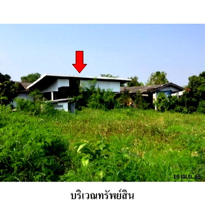 Houses for sale North Chiang Mai University : FOR SALE  HOUSE PROPERTY  2310000 BAHT.