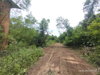 listing thumbnail image 19