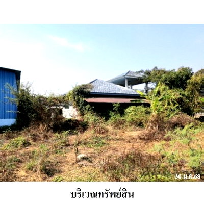 ขายโรงงาน : Z3A1519 ขายโกดัง ตำบล ร่มเย็น อำเภอ เชียงคำ จังหวัด พะเยา