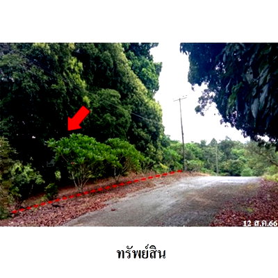 Land for sale Kao Kichakut Chanthaburi : FOR SALE  LAND PROPERTY  2900000 BAHT.