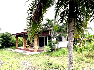 HOME 4987 Sq.w. Chalermphrakiet Buri Ram for 4.1M