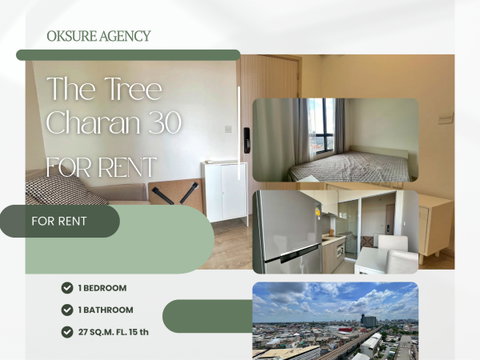💎ให้เช่า The Tree Charan 30 พร้อมเข้าอยู่
