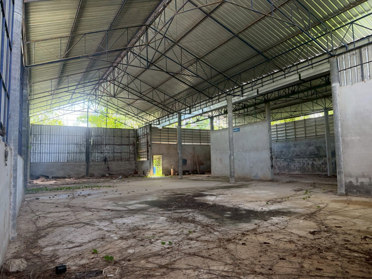 รูป 🏭 โกดัง 2 หลัง พร้อมบ้านพักอาศัย บนที่ดินโฉนดครบถ้วน — เมืองชุมพร - รูปที่ 6/11