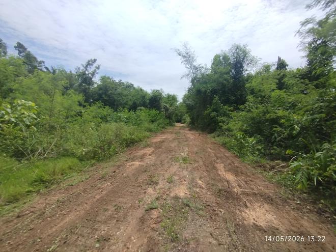 รูป ที่ดินว่างเปล่า 663 ตร.วา คลองท่อม กระบี่ 2.9M - รูปที่ 8/27