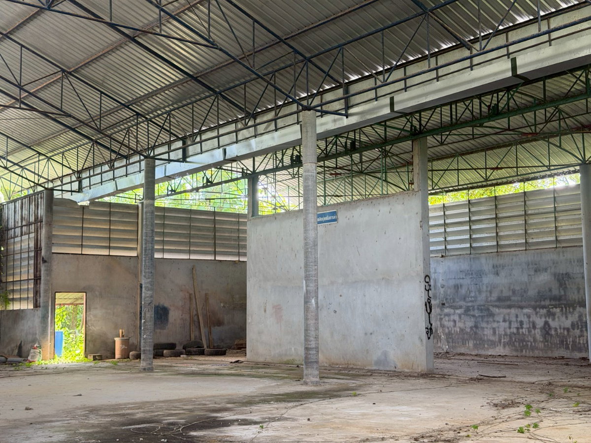 รูป 🏭 โกดัง 2 หลัง พร้อมบ้านพักอาศัย บนที่ดินโฉนดครบถ้วน — เมืองชุมพร - รูปที่ 5/11