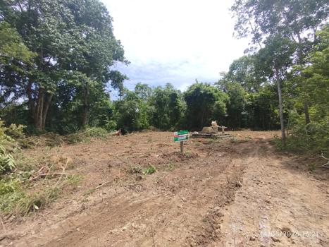 รูป ที่ดินว่างเปล่า 663 ตร.วา คลองท่อม กระบี่ 2.9M - รูปที่ 24/27