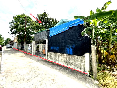 บ้านเดี่ยว นครปฐม : บ้านเดี่ยว 365 ตร.วา นครชัยศรี นครปฐม 3.5M