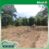 listing thumbnail image 24