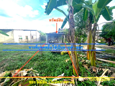 บ้านเดี่ยว หาดใหญ่ สงขลา : บ้านเดี่ยว 26.7 ตร.วา หาดใหญ่ สงขลา 545,000