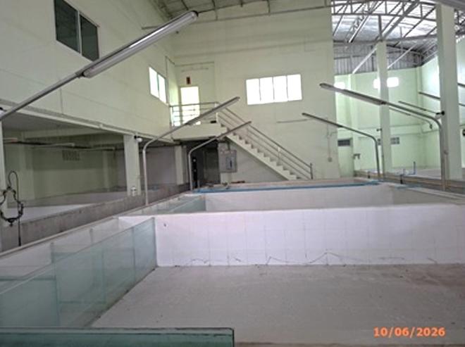 รูป บ้านเดี่ยว 209 ตร.วา เขตภาษีเจริญ กรุงเทพมหานคร 11.5M - รูปที่ 5/39