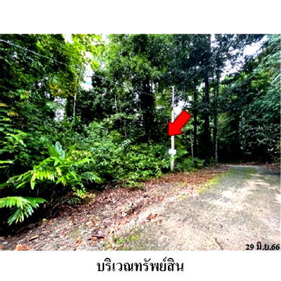 Land for sale Kao Kichakut Chanthaburi : FOR SALE  LAND PROPERTY  825000 BAHT.