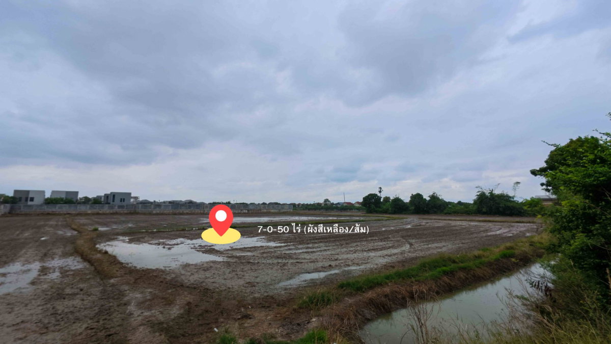 รูป ขายที่ดินชัยพฤกษ์–คลองพระอุดม ปากเกร็ด 7-0-50 ไร่ ใกล้ SISB–วัดสะพานสูง ผังเมืองเหลือง/ส้ม เหมาะพัฒนาโครงการบ้านจัดสรร | #TPI-2577 - รูปที่ 11/13
