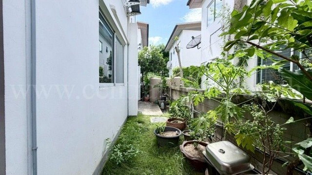 รูป บ้านแฝด โกลเด้น นีโอ ชัยพฤกษ์-วงแหวน หลังริม ถูกที่สุด - รูปที่ 10/25