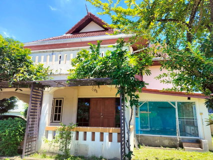 🏡ขายบ้านเดี่ยวทำเลดี ไม่มีค่าส่วนกลาง น้ำไม่ท่วม  โครงการ : หมู่บ้านมรกต ตำบลหนองจ๊อม อำเภอสันทราย