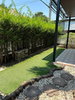 listing thumbnail image 15
