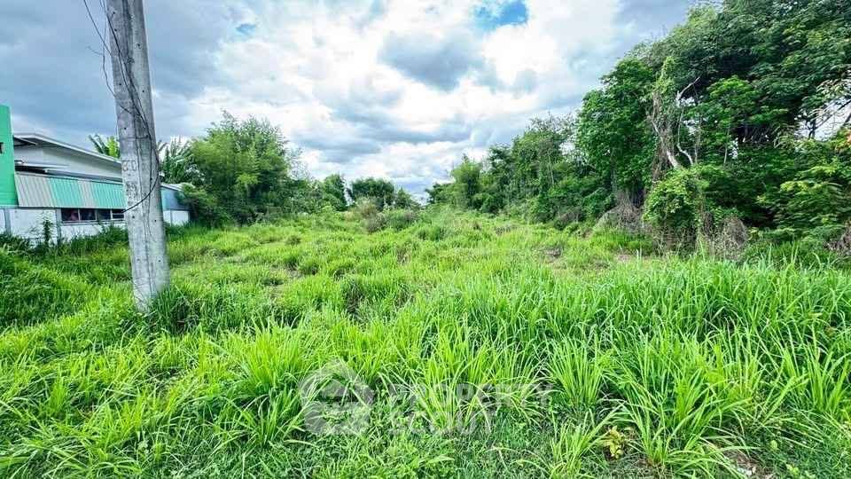 รูป ที่ดินขาย ใกล้ถนนคนเดินท่าแพ เชียงใหม่ ช้างม่อย เมืองเชียงใหม่ (ID 3049253) - รูปที่ 13/24