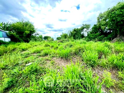 ที่ดิน สำนักงานขนส่งจังหวัดเชียงใหม่ : ที่ดินขาย ใกล้ถนนคนเดินท่าแพ เชียงใหม่ ช้างม่อย เมืองเชียงใหม่ (ID 3049253)