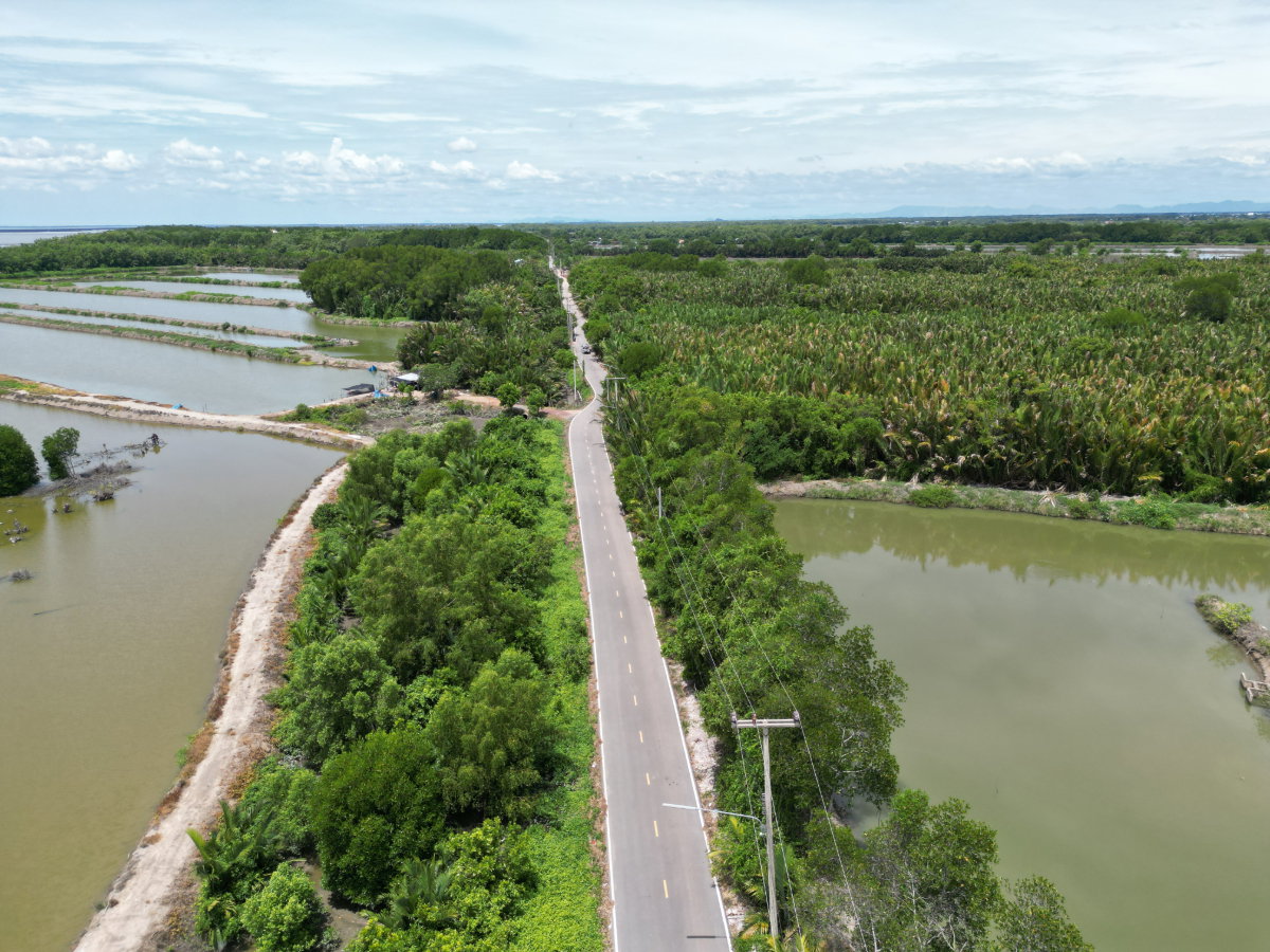 รูป #ขายที่ดินราคาถูกมาก #ขายที่ดินแหลมใหญ่ ที่ดินแม่กลอง เมืองสมุทรสงคราม ใกล้ทะเลอ่าวไทย ใกล้ปากแม่น้ำแม่กลอง อยู่ฝั่งตรงข้ามดอนหอยหลอด - รูปที่ 2/11