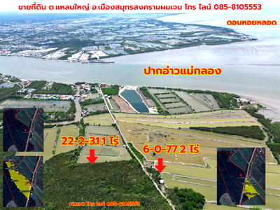 ที่ดิน ดอนหอยหลอด : #ขายที่ดินราคาถูกมาก #ขายที่ดินแหลมใหญ่ ที่ดินแม่กลอง เมืองสมุทรสงคราม ใกล้ทะเลอ่าวไทย ใกล้ปากแม่น้ำแม่กลอง อยู่ฝั่งตรงข้ามดอนหอยหลอด