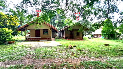 บ้านเดี่ยว กระบี่ : บ้านเดี่ยว 186 ตร.วา คลองท่อม กระบี่ 1.3M