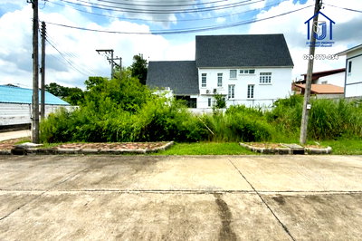 ที่ดิน ดรีมเวิลด์ : ที่ดินถมแล้ว  63.7 ตร.ว. หมู่บ้านภัทรา ลำลูกกา คลอง 4 แปลงมุม ซอยลำลูกกา 81 แยก 2  ใกล้รถไฟฟ้าสายสีเขียว สถานีคูคต