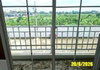 listing thumbnail image 32