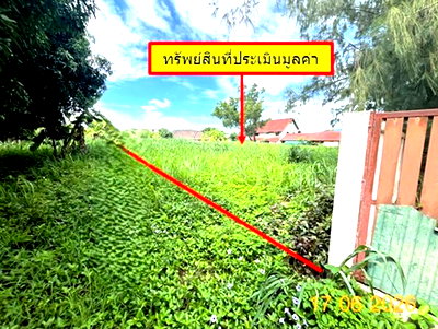 Land for sale Chiang Mai : LAND 549 Sq.w. San Sai Chiang Mai for 11M