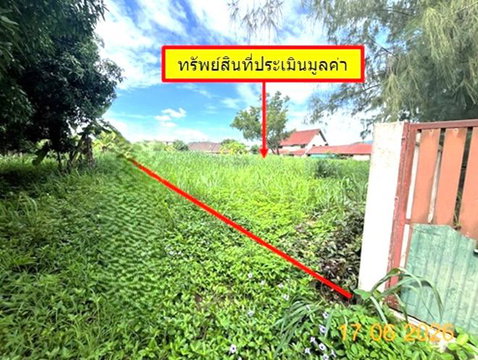 ที่ดินว่างเปล่า 549 ตร.วา สันทราย เชียงใหม่ 11M